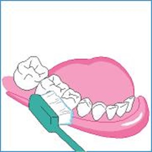 1581911867714400.jpg 5.JPG